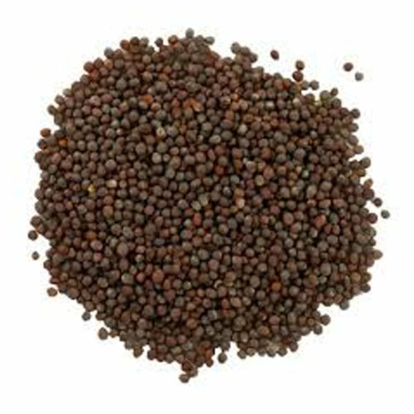Brown Mustard Seeds