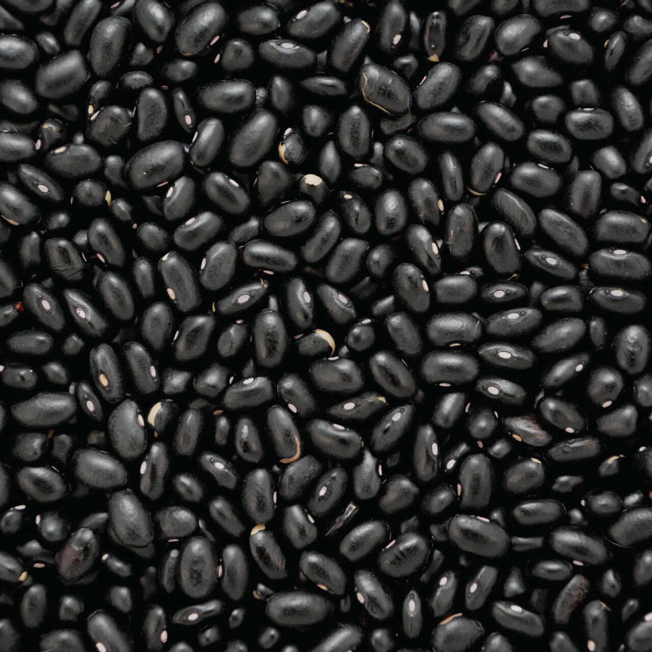 Turtle Black Beans The Little Green Pantry