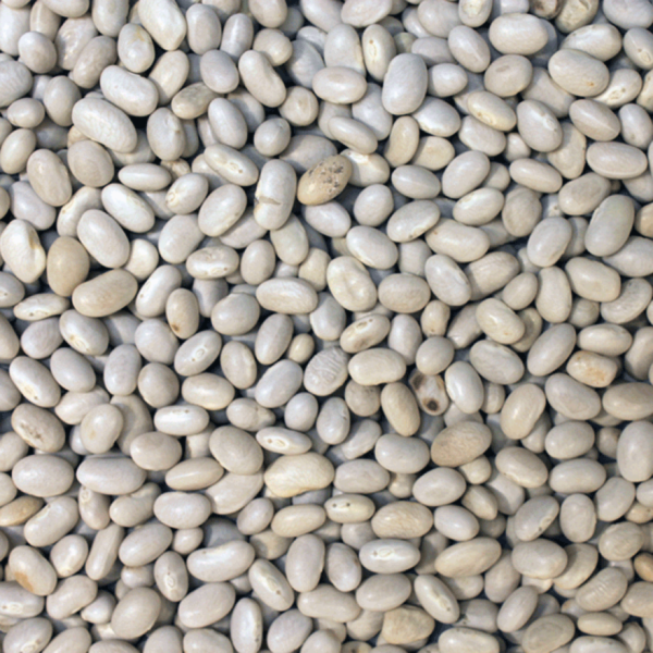 Haricot Beans Loose