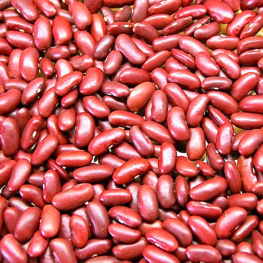 Red Kidney Beans Loose The Little Green Pantry